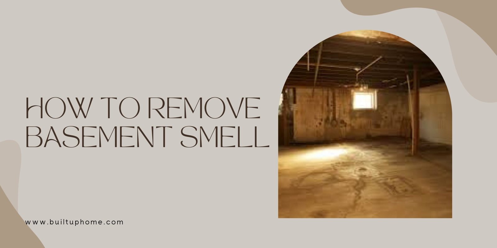 Remove Basement Smell